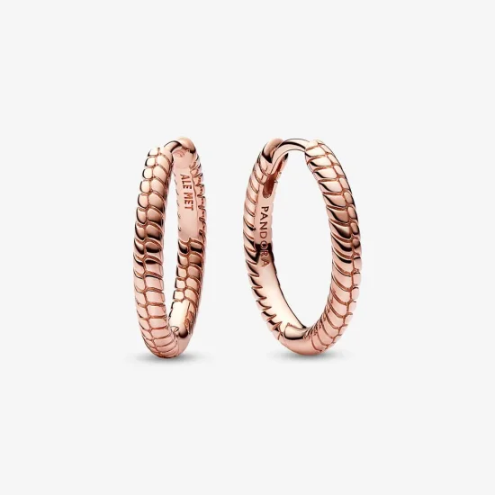 (kép) Pandora Moments kis charm karika-fülbevaló - 282728C00
