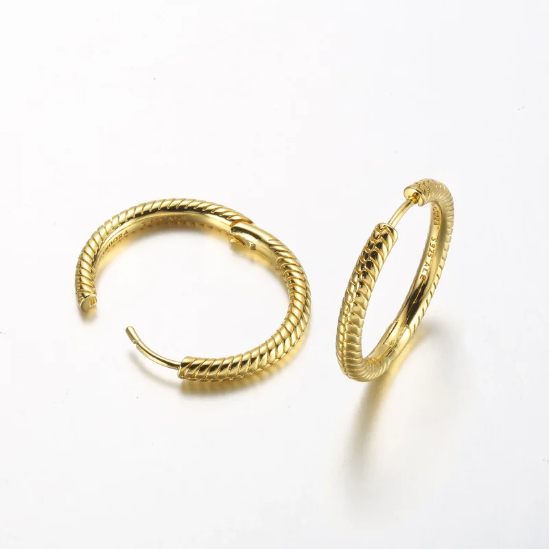 (kép) Pandora Moments Charm Hoop Fülbevalók - 269532C00 - Megtekintés 5