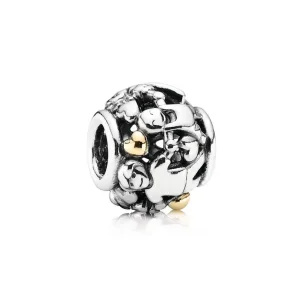 (kép) PANDORA család mindörökké charm - 791040